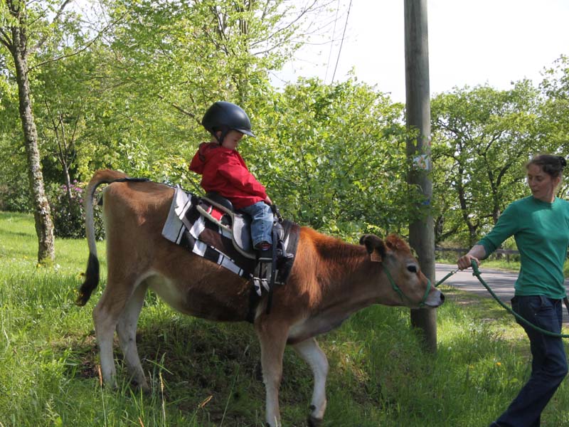 ©4 Pat'Balad 4 Pat'Balad - St Philbert sur Orne