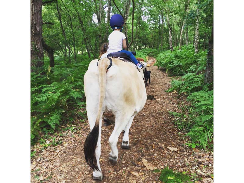 ©A. Crampon 4 Pat'Balad - St Philbert sur Orne