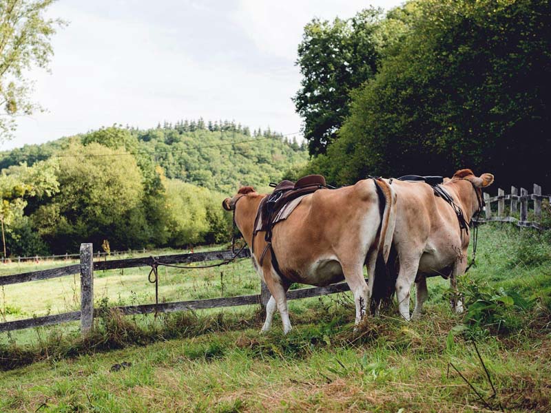 ©A. Crampon 4 Pat'Balad - St Philbert sur Orne