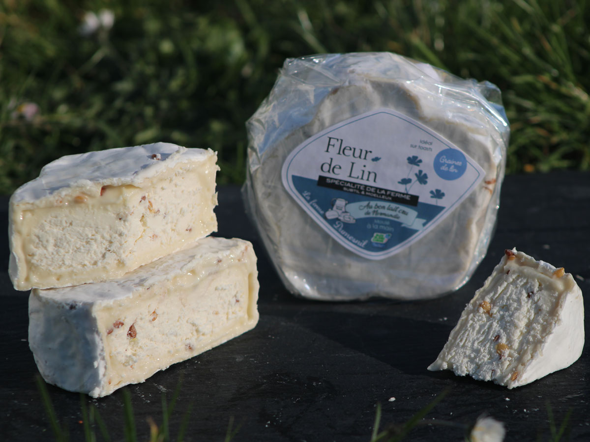 Fleur de Lin - Ferme Dumesnil