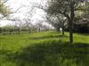 Ferme Saint Blaise