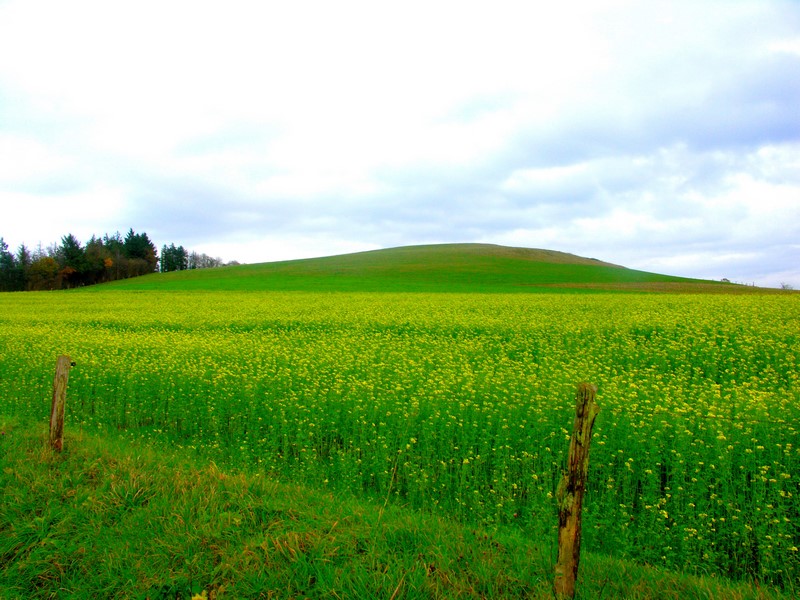 Le mont chauve