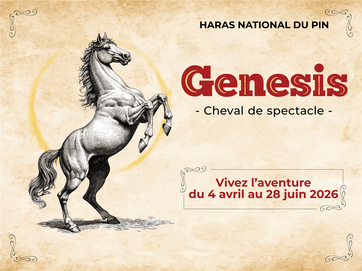 Haras du Pin 699d2a2d-1