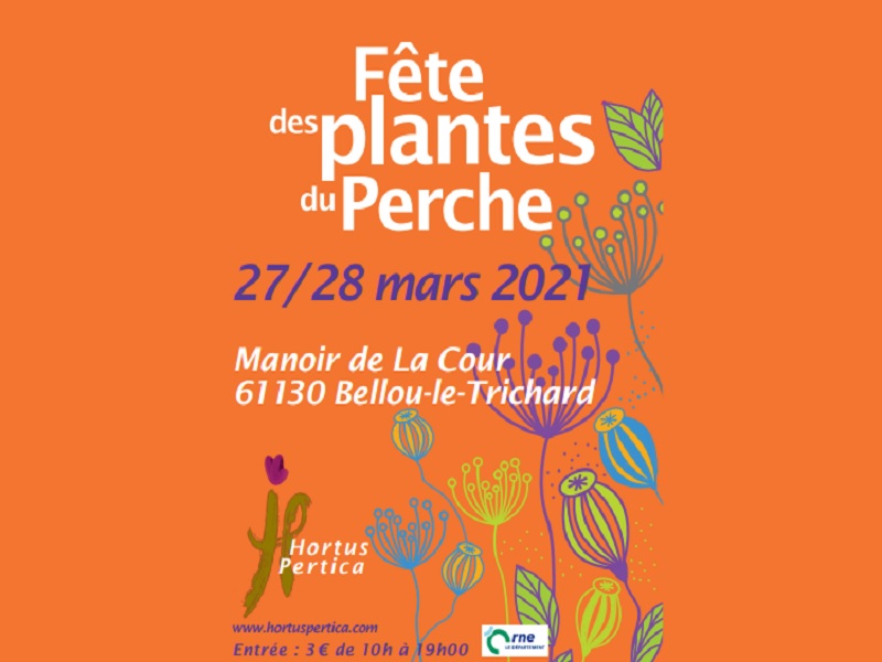 800Sans titre ©HorthusPertica 800Sans titre