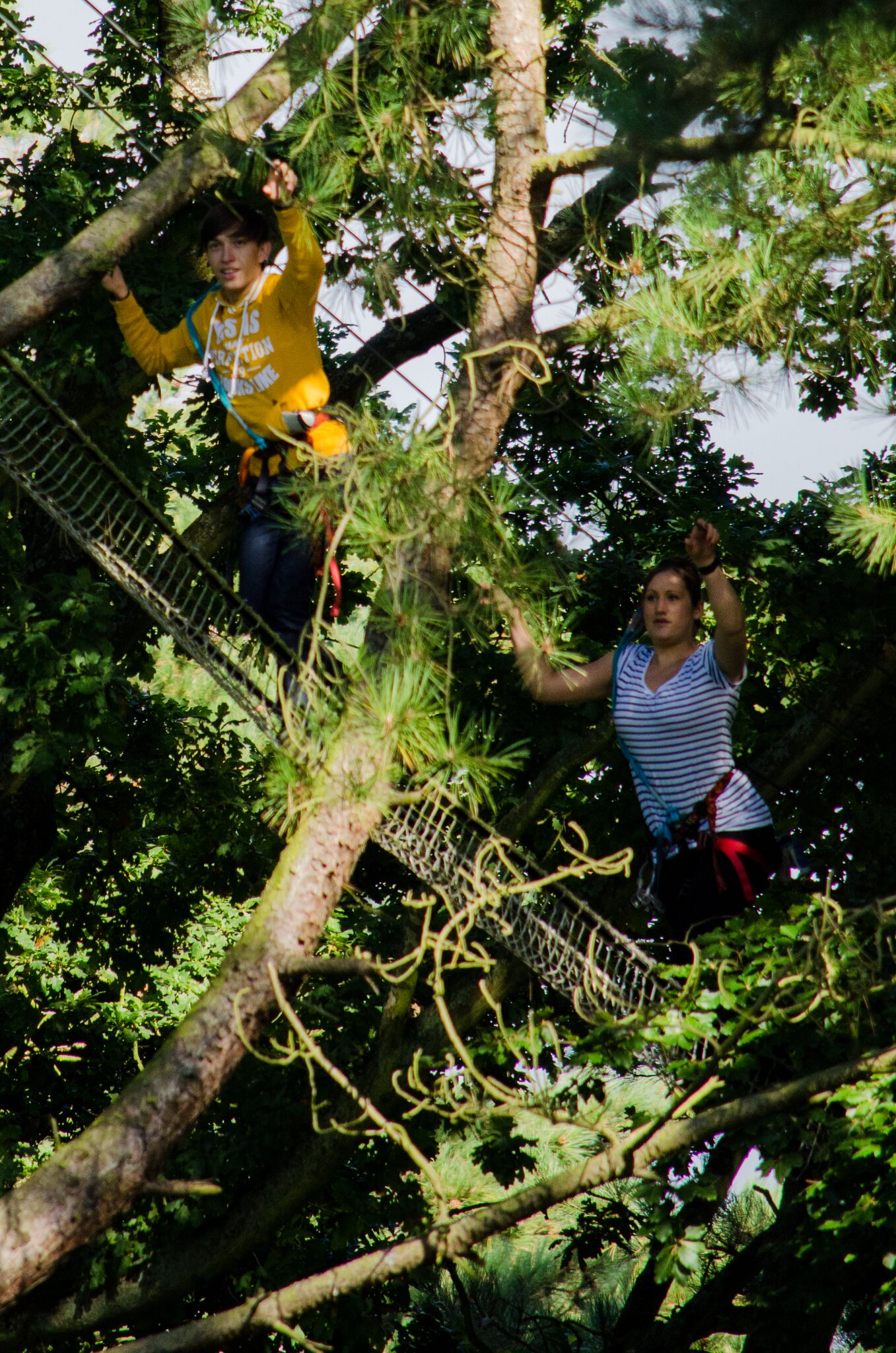 ACCROBRANCHE - ETRETAT AVENTUTE - LES LOGES - 2025