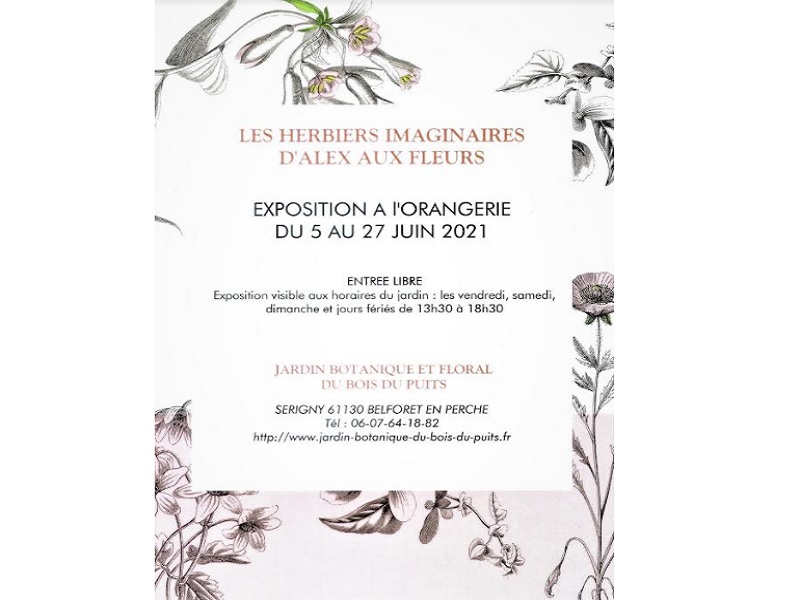 ALEX800Sans titre ©Alexauxfleurs ALEX800Sans titre