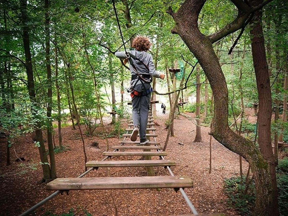 ACCROBRANCHE, VTT, SPA, CO à L'étape en forêt