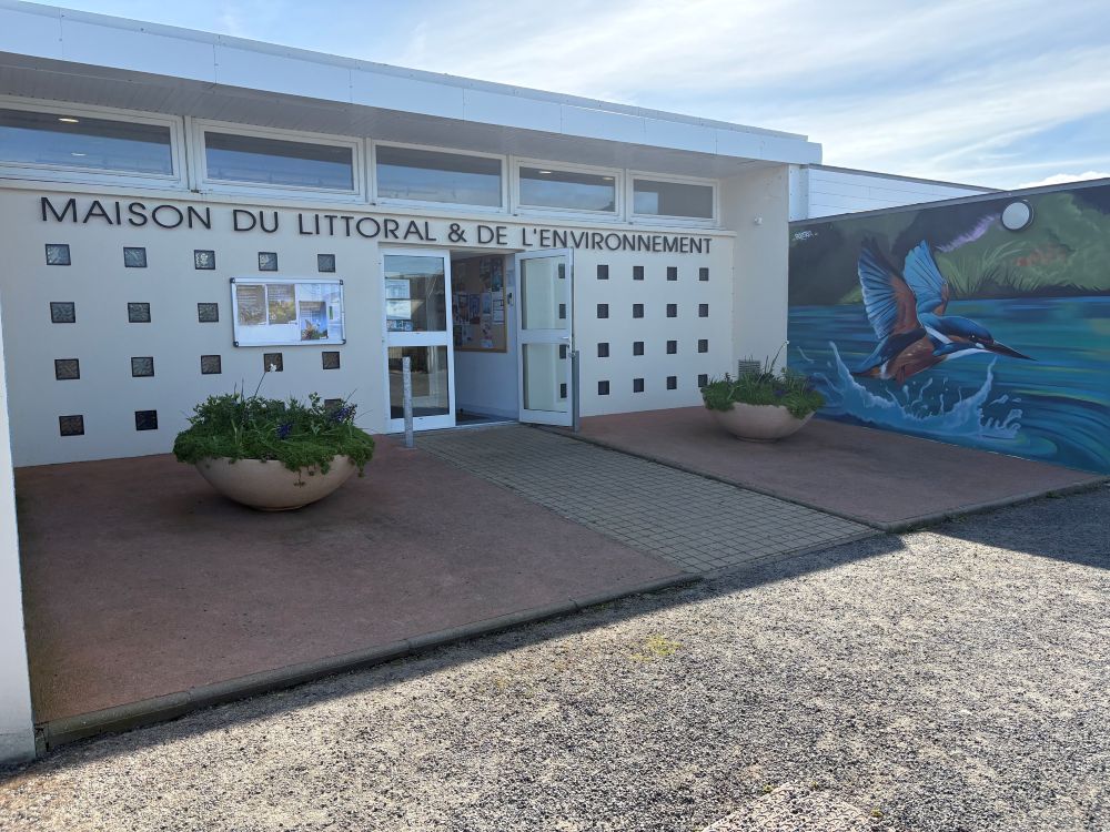 Atelier tout public : fabriquons un nichoir