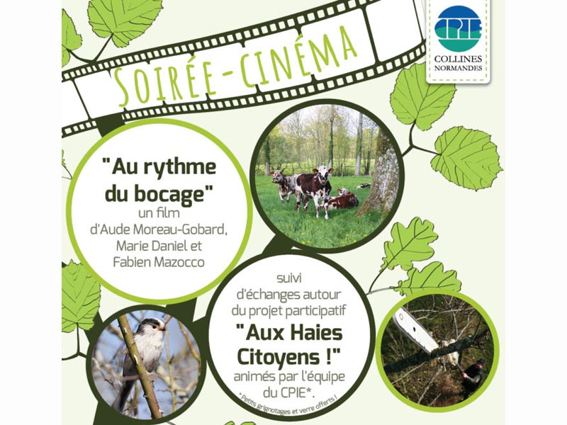 Affiche-soiree-cine-VF-WEB-800 CPIE 61 Affiche-soiree-cine-VF-WEB-800