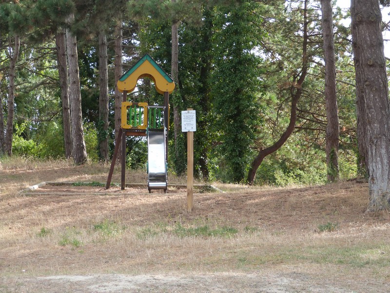 Aire de Pique Nique > Petit bois de pins
