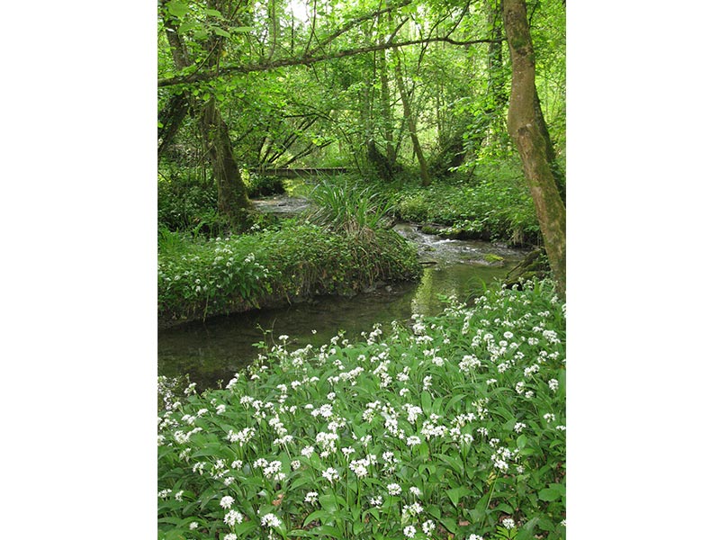 © D Commenchal Le Vaudobin et les gorges du Meillon