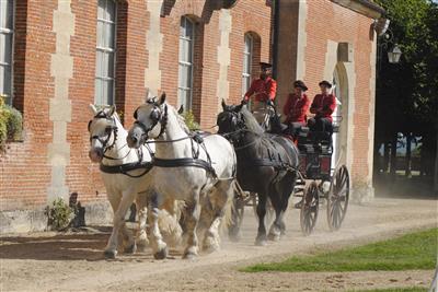 Nathalie Gondouin Attelage-4-Percherons du Haras du Pin-bd