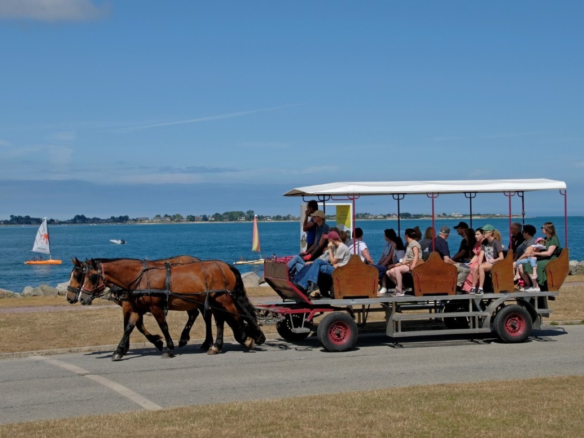 Attelage et Patrimoine en Cotentin