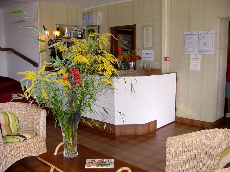 © Mme OLSOWY Auberge-d-Andaine-La Ferte-Mace