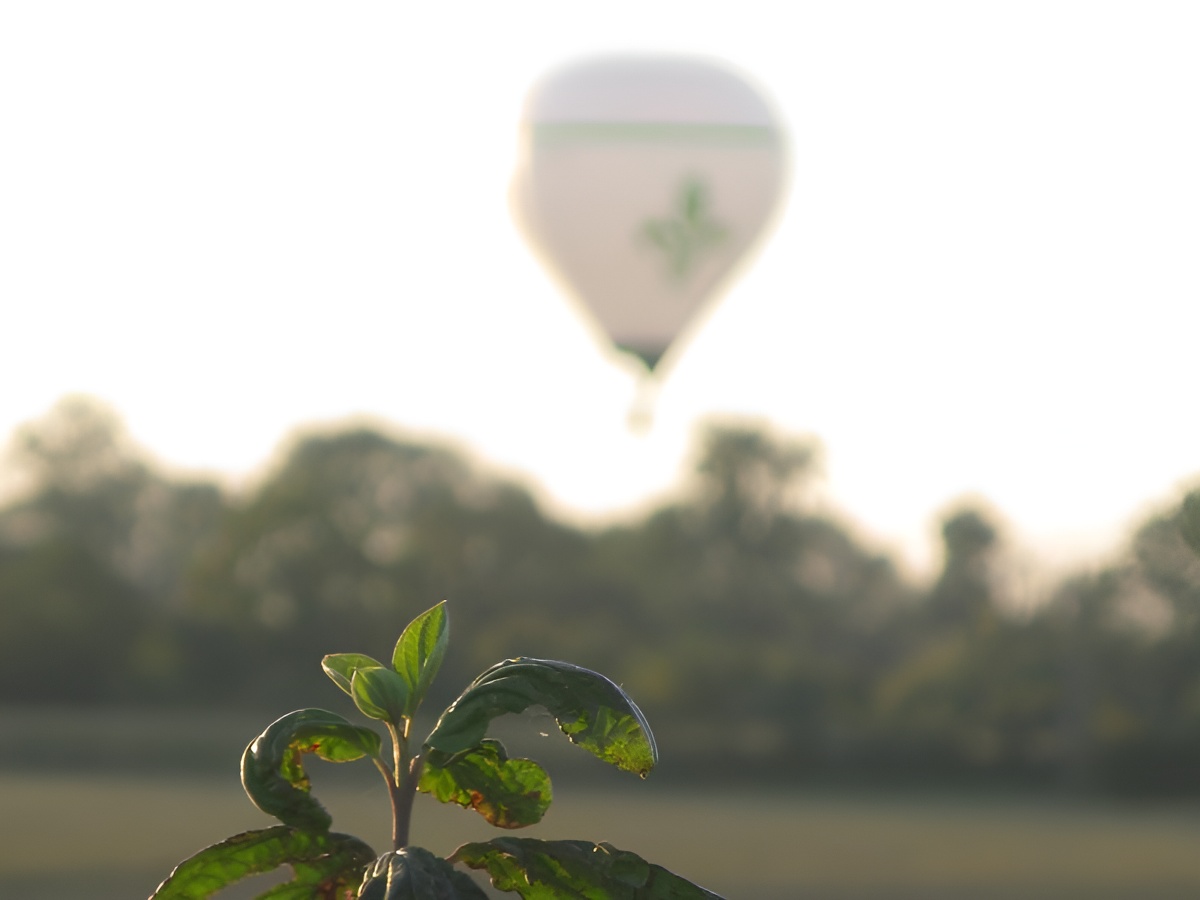 Vol montgolfière Calvados (2)