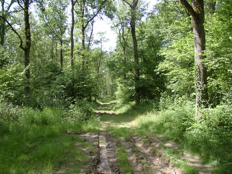 Le Moulin-Foulon