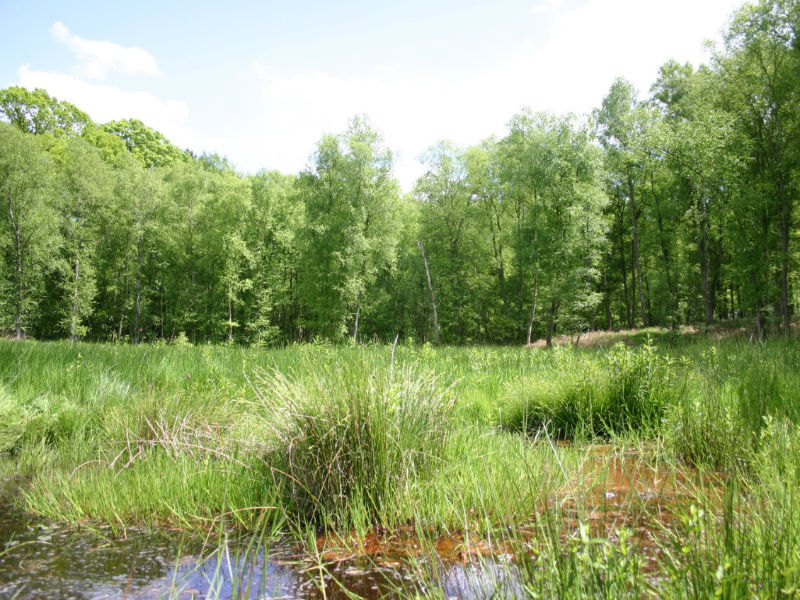 Le Bois de l'Épinay