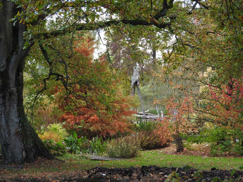 ©JB Jacob Jardin du Bois du Puits - Serigny