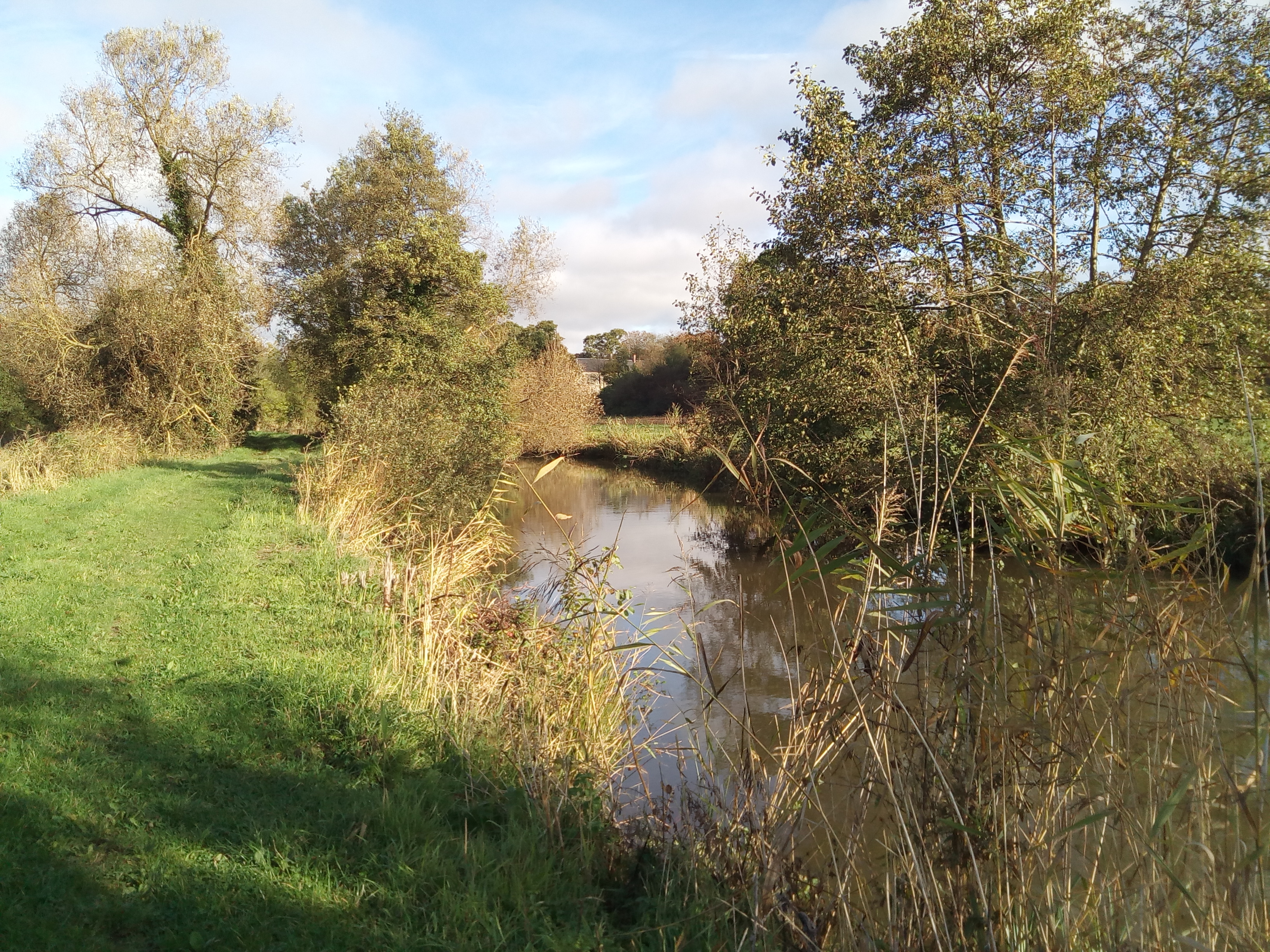 Randonnée Les marais de Neuilly