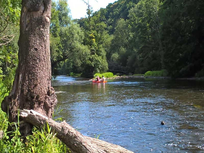 La croix de la Faverie