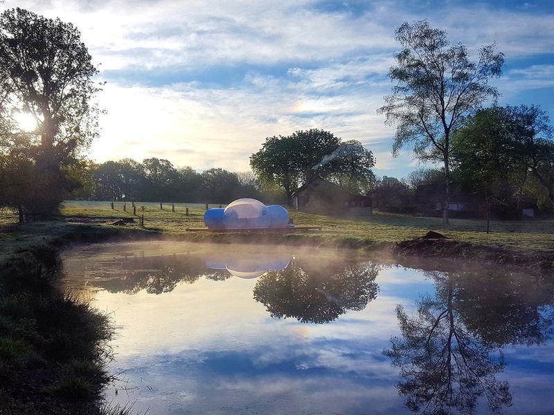 © MME FAVRE Bulles-Bubble-Bee-Marchainville