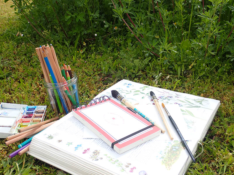 CROQUIS X800 PNRP CROQUIS X800