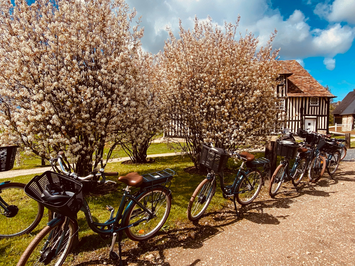 Design sans titre - Calvados La France A Vélo