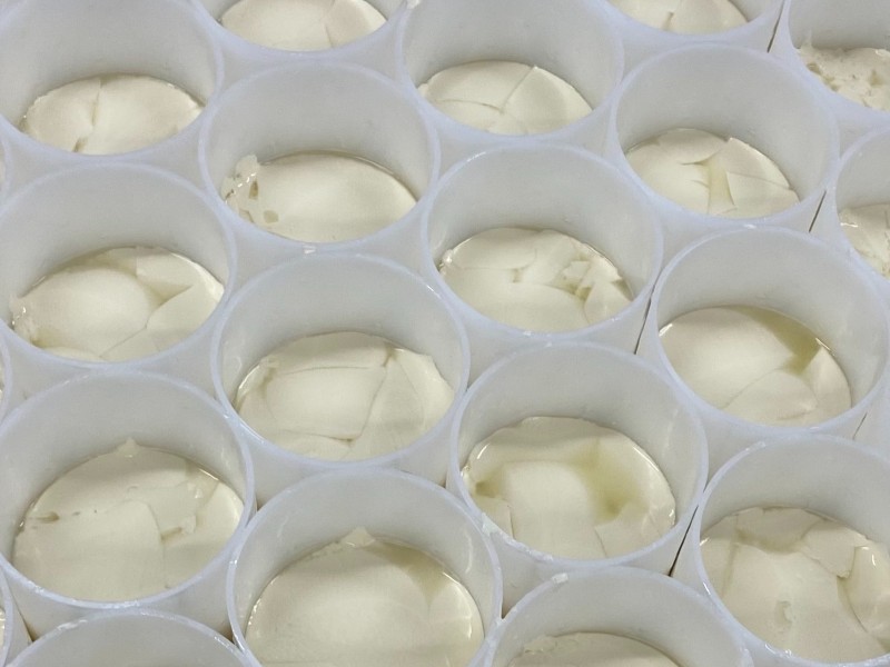 Camembert_le_5_frères-sma-eva_mabire (3)