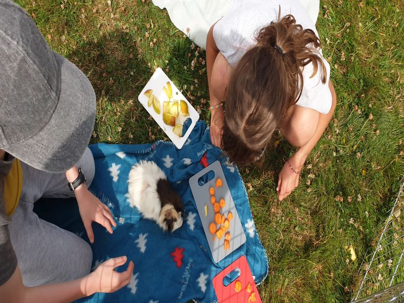 ©Schéhérazade Warrach Camping-aux-Pres-d-Ecouves-radon