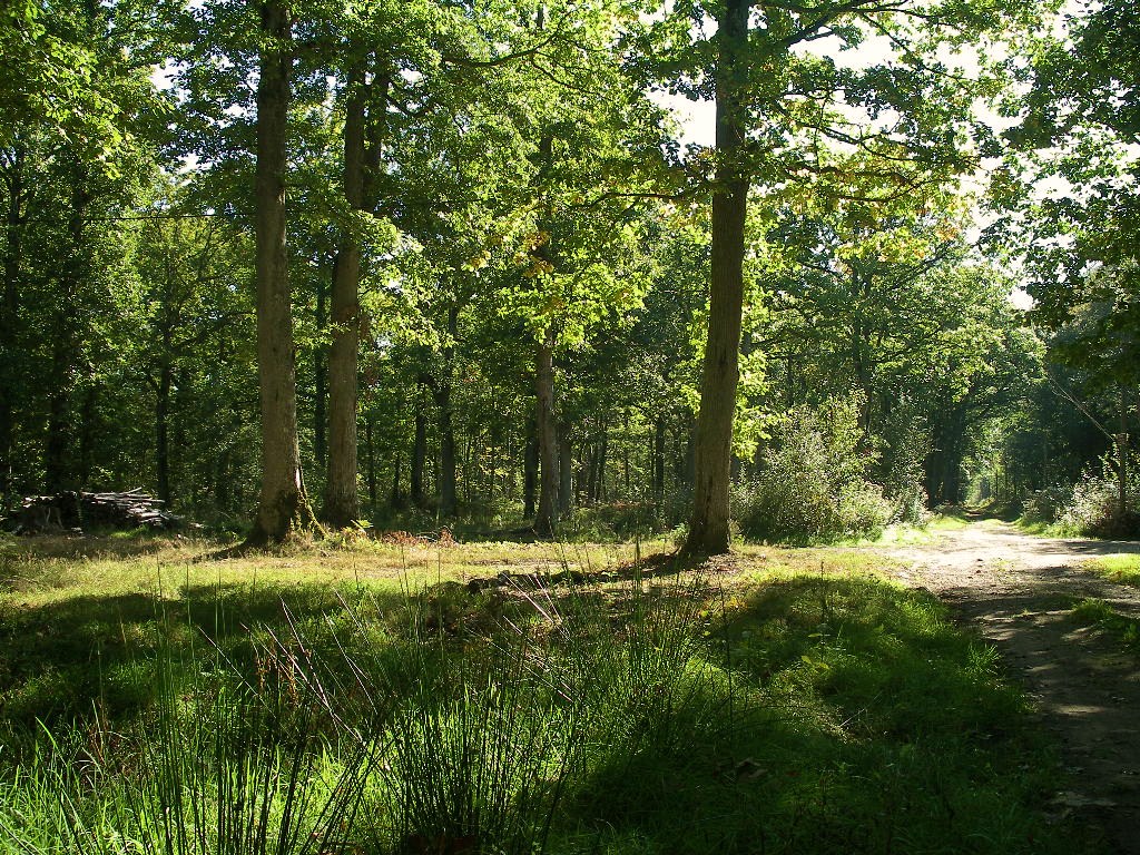 Entre Cingal et Vallée de l'Orne