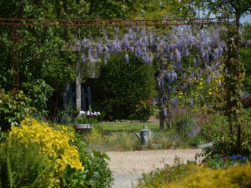 ©MME BOOMFIELD FRANCOISE Chambre-d-hotes-La-Visance-Landisacq