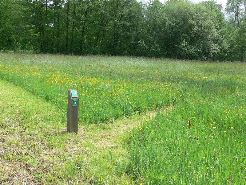 © CD 61 Chemin de Etang du Perron