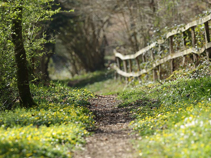 Le Camp de Bierre © C Aubert Le Camp de Bierre