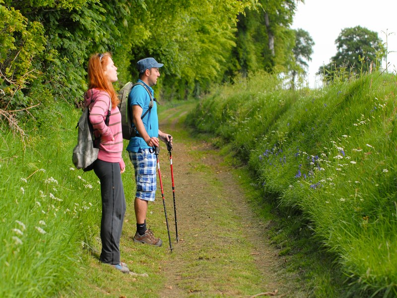 Le chemin des croix