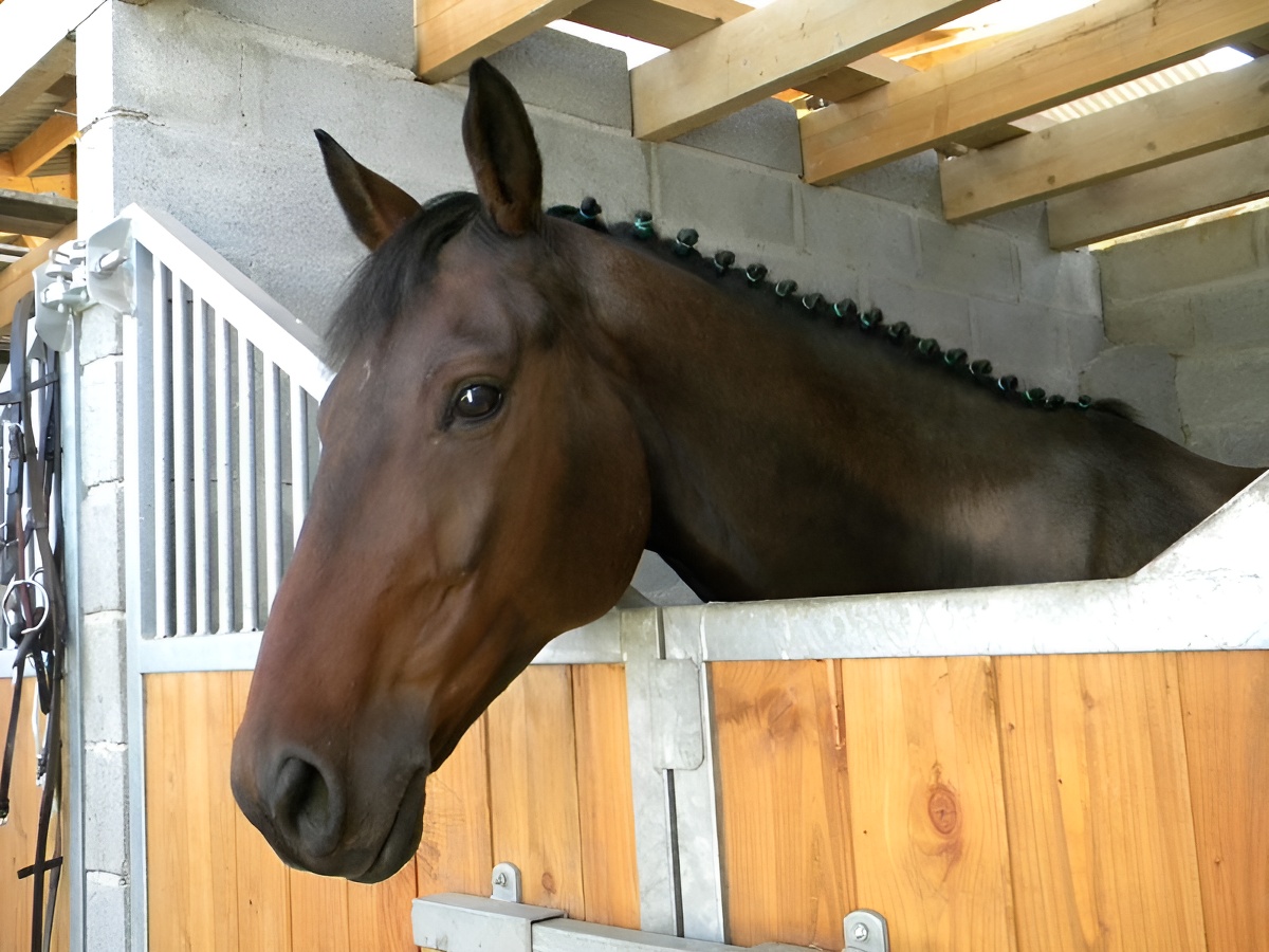 Centre Equestre de la Souleuvre