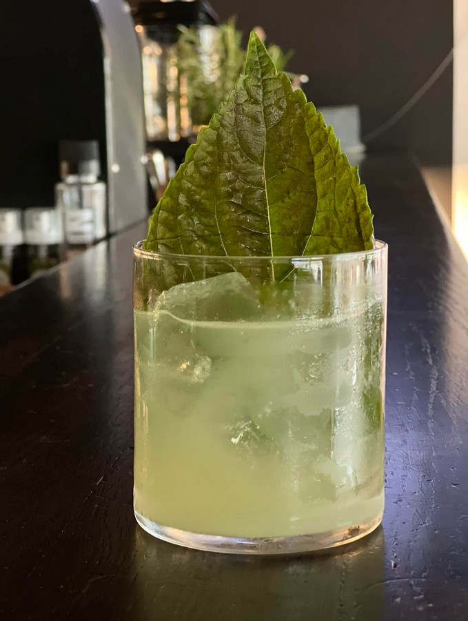 Cocktail