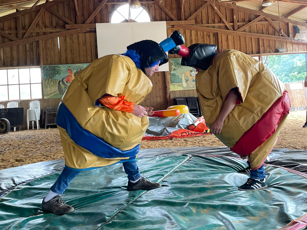 Combat de sumo
