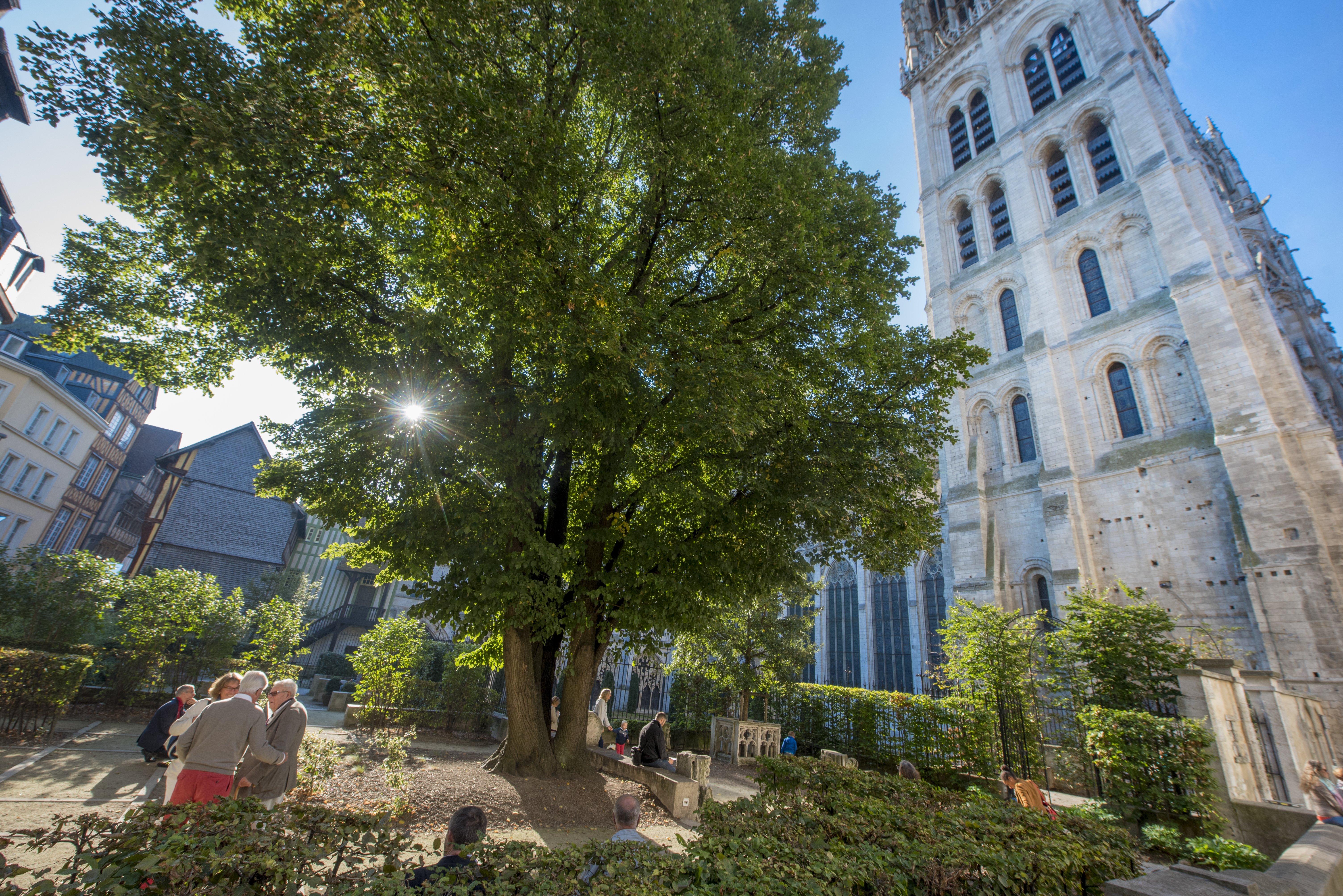 Cour d'albane