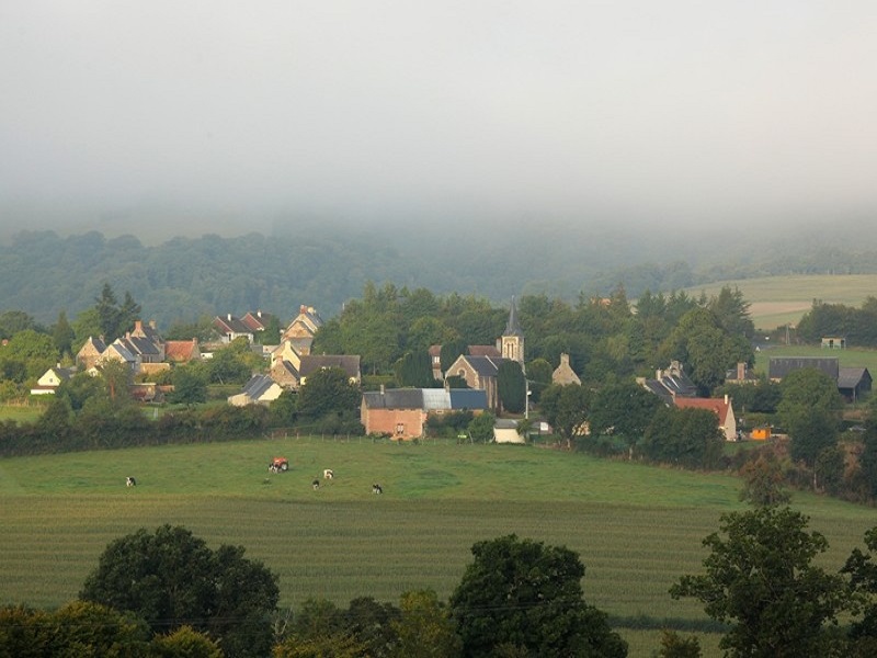 Le gros hêtre