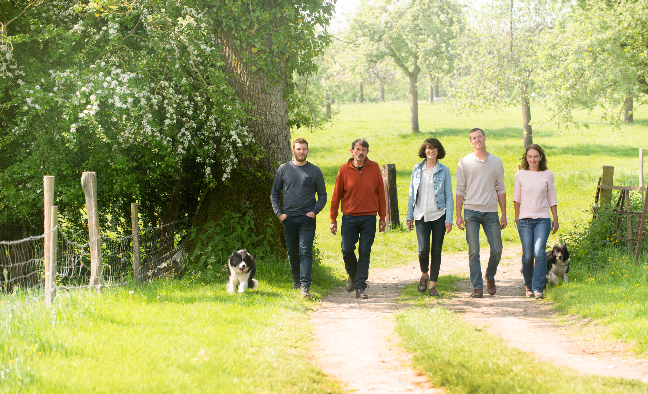 Domaine Duclos-Fougeray - photo 4
