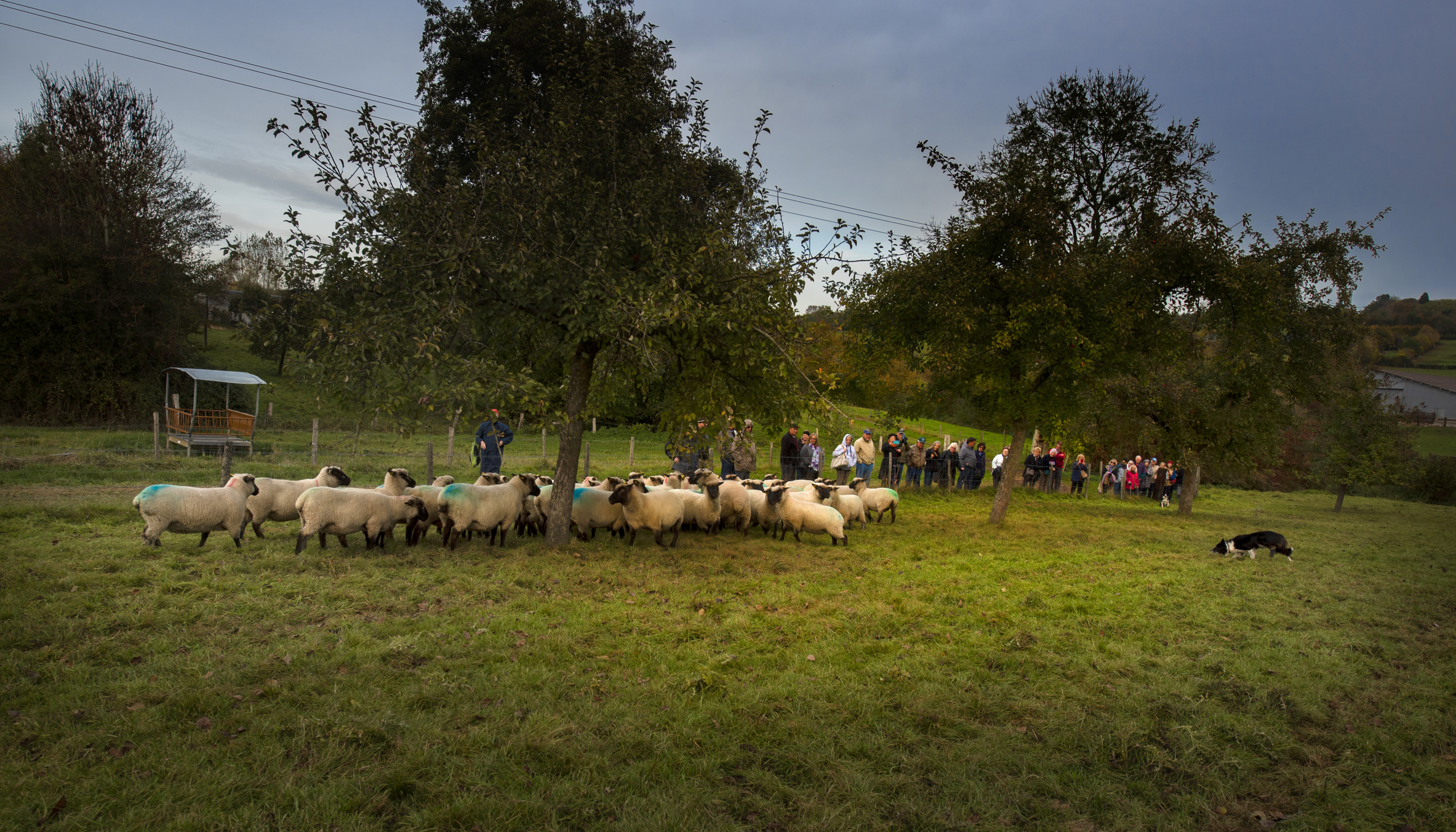 Domaine Duclos Fougeray - photo 3