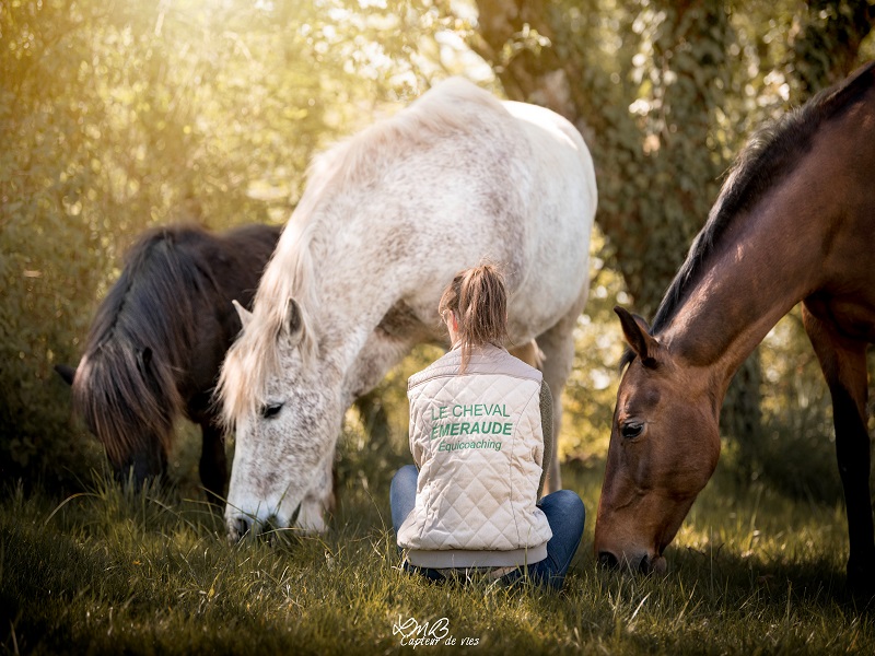 Le Cheval Emeraude