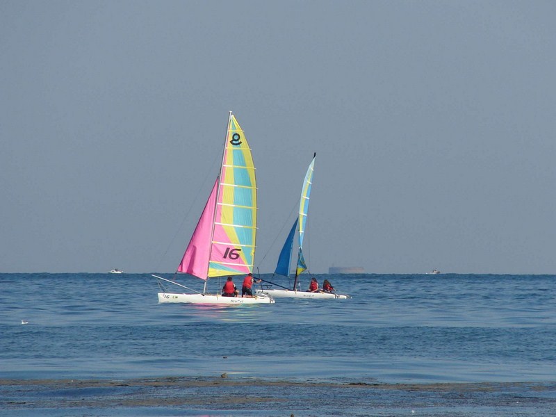  DSC00524 (Copier) 