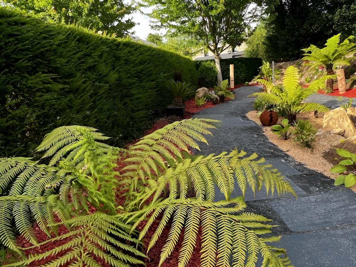 Jardins du Domaine Albizia