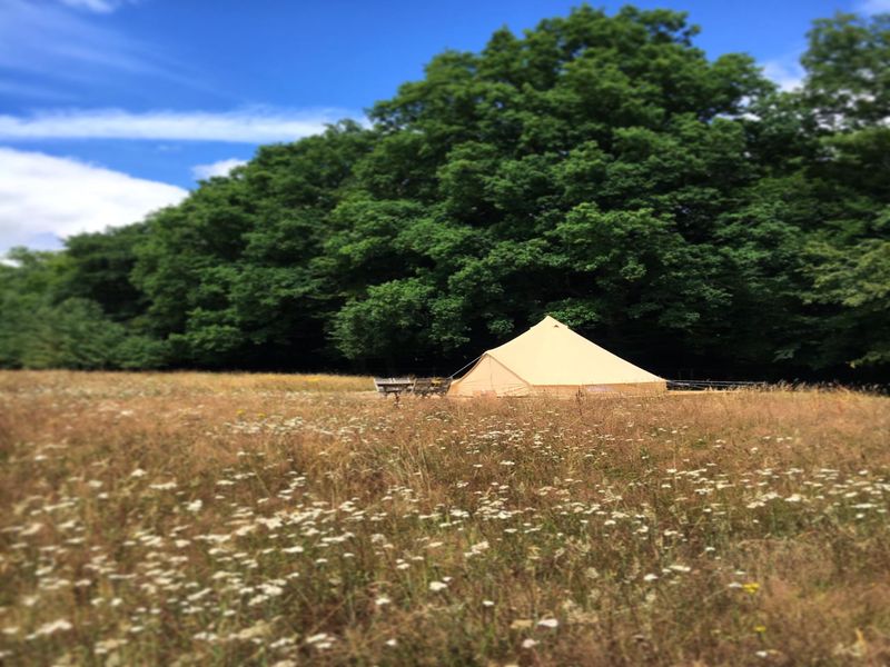 © MME FAVRE Domaine-des-Butineuses-Marchainville