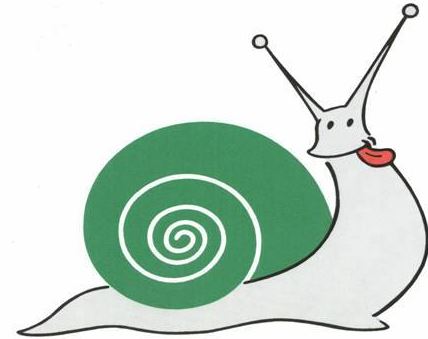Escargot du Mont Réal - photo 2