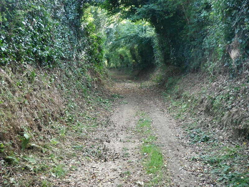 Entre bois et landes