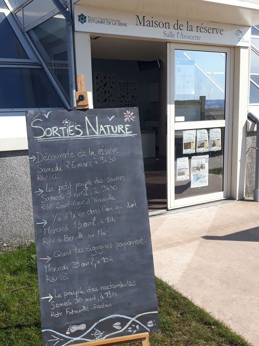 Entree_salle_avocette_steph