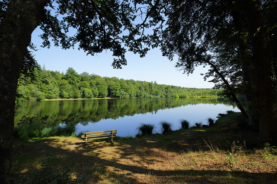 © C Aubert Etang de la lande forêt - Le Grais
