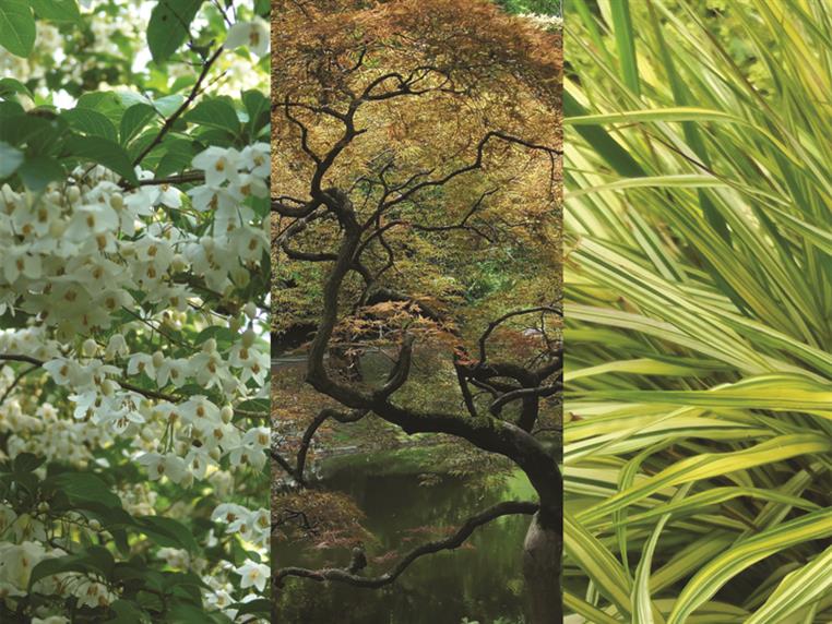 bagnoles-orne-fete-plantes-entre-ville-jardin-2026